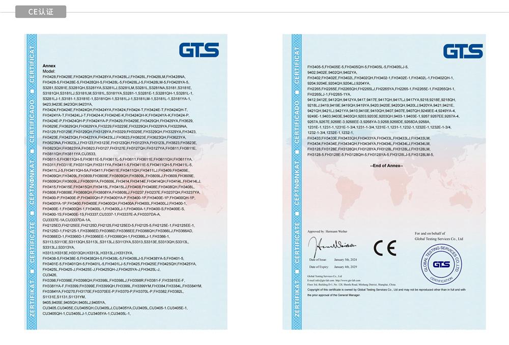 CE Model Annex document preview